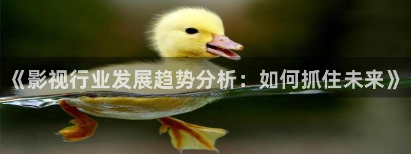 请回答1988在线观看免费观看西瓜