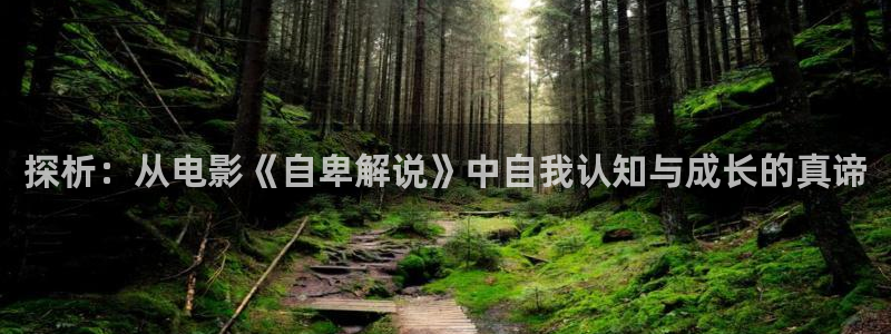 西瓜网影视