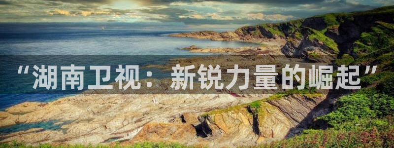 谁说我结不了婚免费观看西瓜