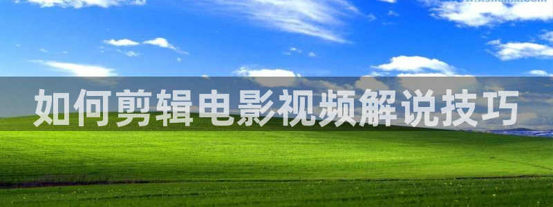 西瓜电影在线播放