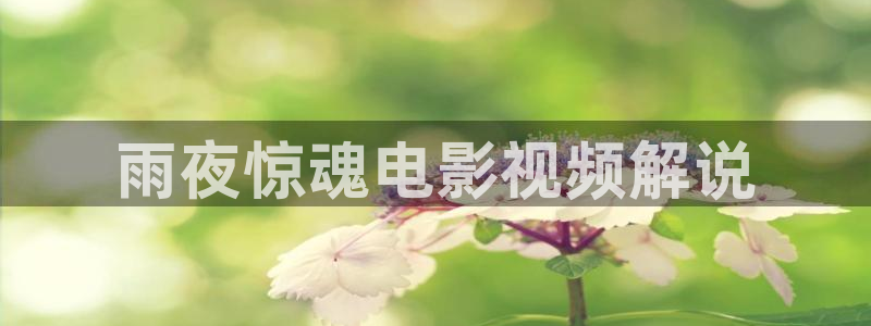 西瓜天津