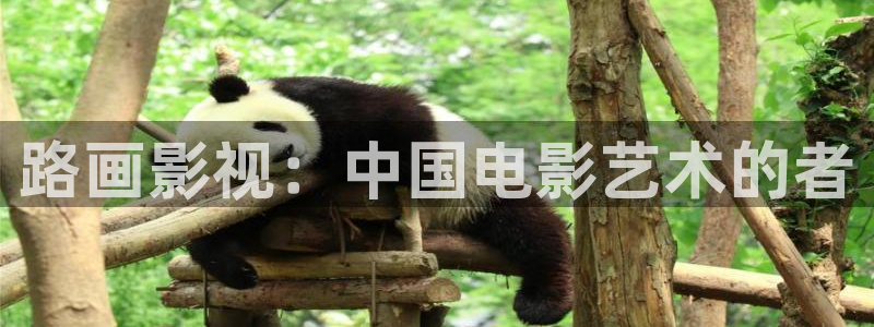 西瓜高清影音播放器下