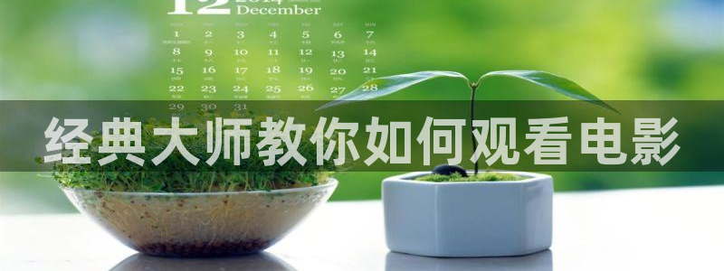 全职法师第七季免费观看全集完整版西瓜