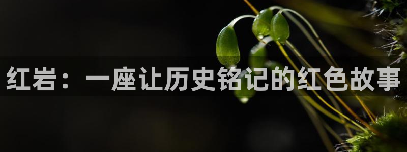 首页西瓜影院