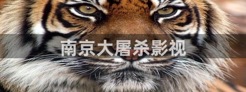 妈妈的职业西瓜影院