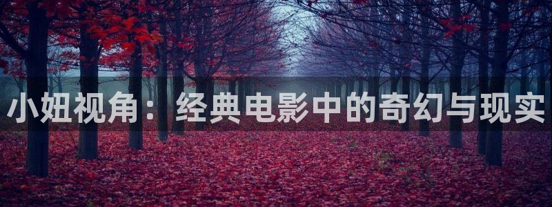 西瓜影院成人版