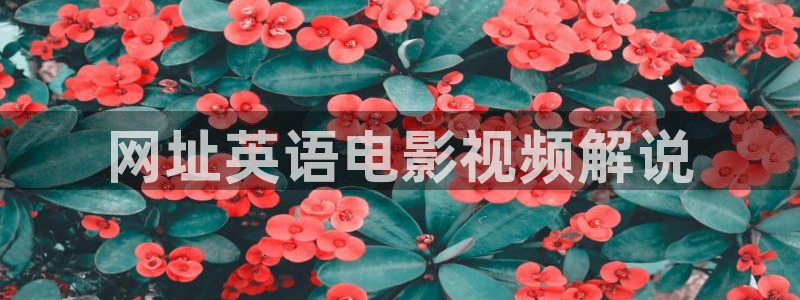 江苏连云港西瓜