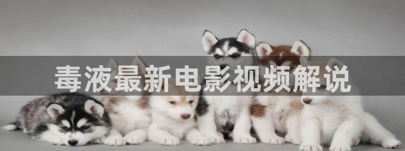 西瓜电影西瓜