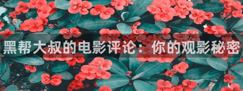 凤囚凰免费观看全集西瓜完整版