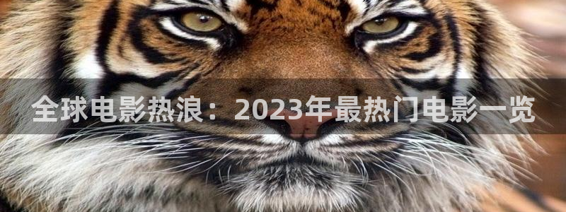 西瓜影院短剧