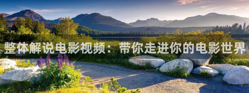 新闻图片